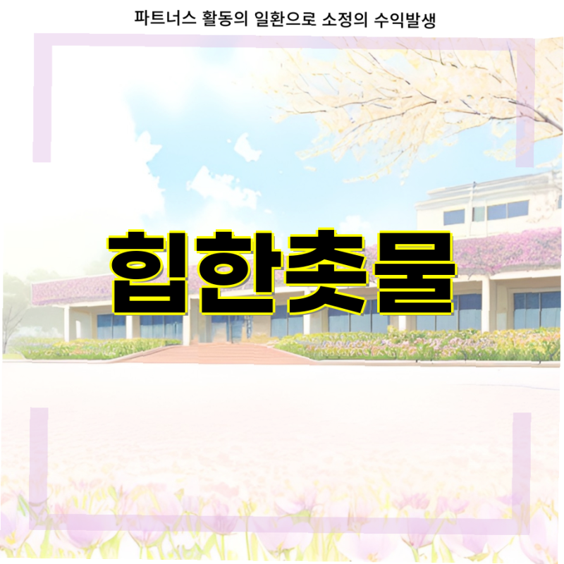 오타후쿠 스시스 초밥용 식초와 간장 세트로 완벽한 스시를 만드는 법  스시 초밥 양념소스 ....
