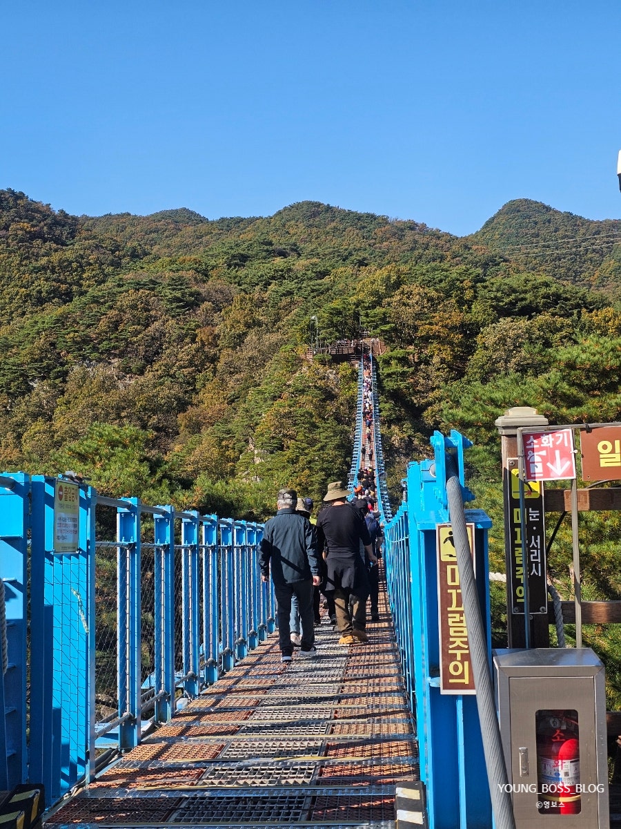 경성꽈배기 봉산점 사진 2