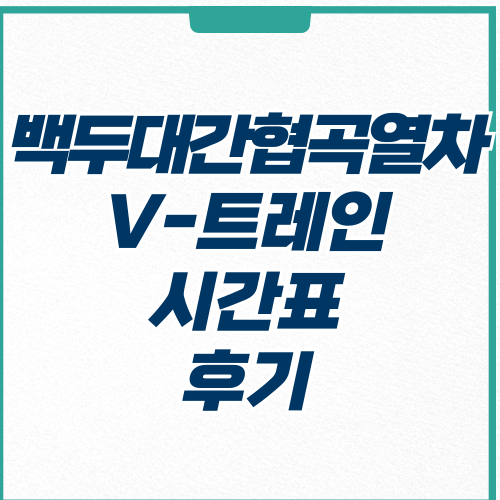  백두대간 협곡열차 V-트레인 시간표 후기