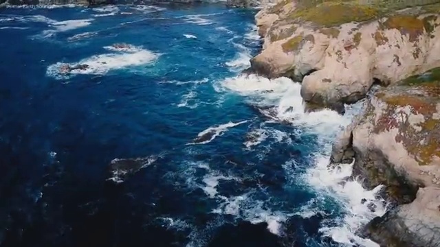  독서지도사 2급 , 독서지도사 자격증 20일 만에 합격한 비법 및 취업 전망