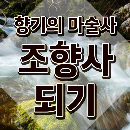  40대취업자격증 , 조향사 온라인 과정 100%로 초단기 성공한 방법