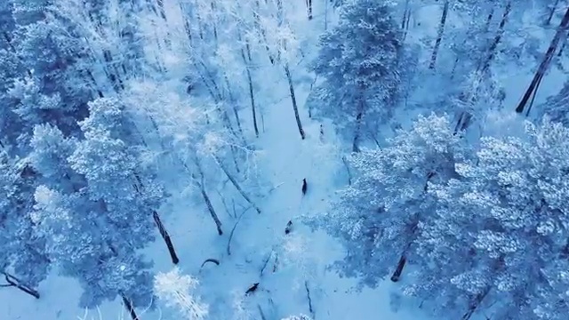  노인심리상담사 자격증 시험 , 노인심리상담사 자격증 온라인 교육으로 시험준비 정보 가득