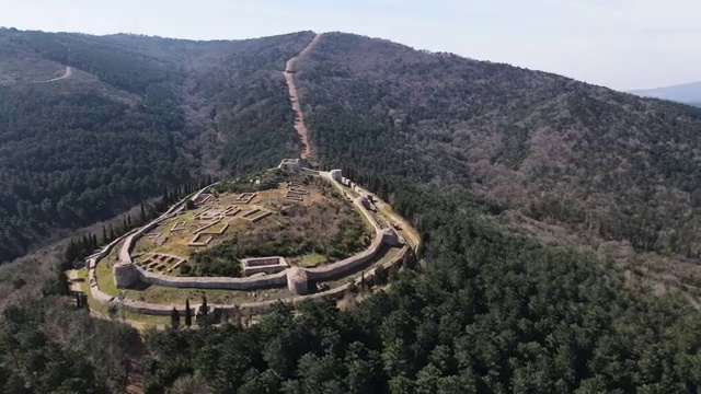  반려동물관리사 취업 , 반려동물관리사 자격증 1달 만에 취득한 과정 , 채용 정보