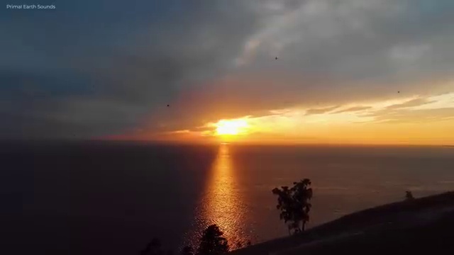  병원코디네이터 자격증 취업 , 병원코디네이터 자격증 2주 만에 합격한 팁 필수 정보