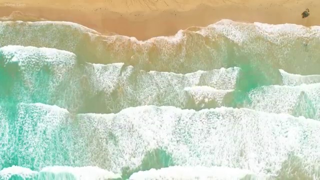  병원코디네이터예상문제 , 병원코디네이터 자격증 15일 만에 합격한 비법 및 구직정보