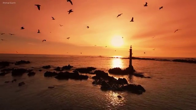  학교안전지도사전문학원추천 , 학교안전지도사 자격증 준비한 과정 정리