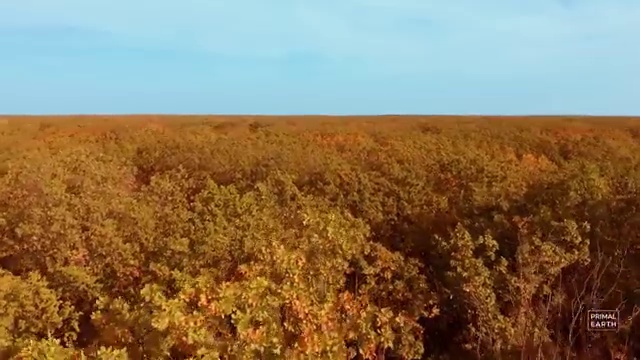  사주 오행분석 궁합 , 명리심리상담사자격증 독학으로 합격한 후기
