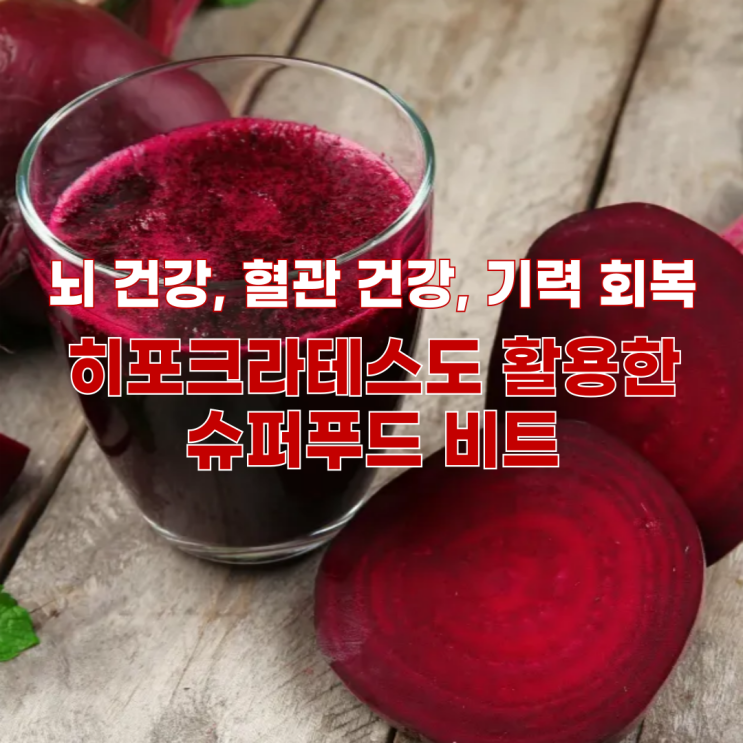  뇌 건강과 혈압 관리에 좋은 비트, 효능과 먹는 법 이렇게 드세요!