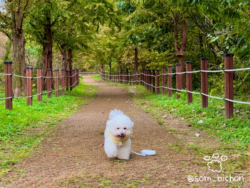 한탄강 주상절리길(포천)