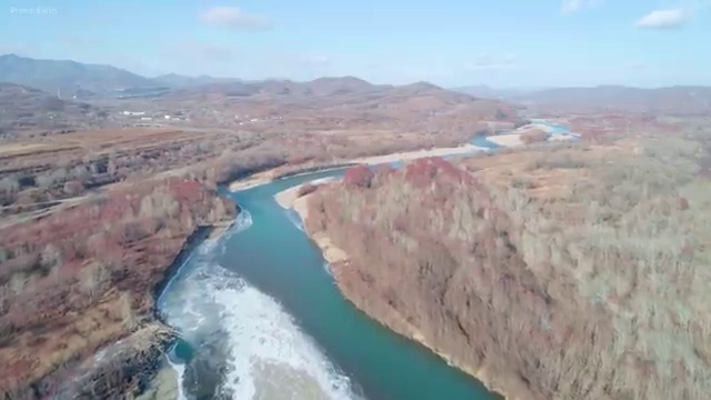  플로리스트 전망 , 플로리스트 자격증 합격한 후기 정보 필요하시죠