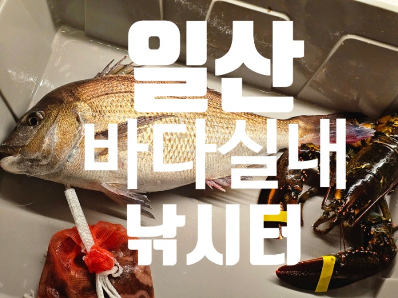 일산 놀거리 아이와 실내놀거리를 찾는다면 일산바다실내낚시 추천