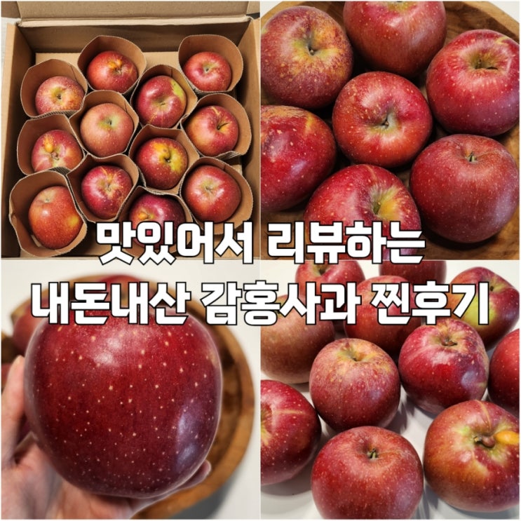  사과계의 에르메스라는 내돈내산 감홍사과 찐후기