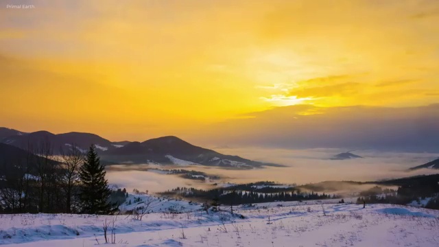  독서논술지도사자격증 , 독서지도사 자격증 합격정보 정보 모두 드려요