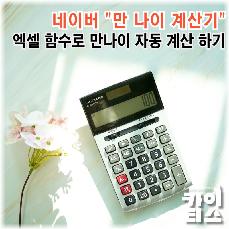 만 나이 계산기 엑셀 함수 사용법, 한국나이와 만나이 몇살 차이?
