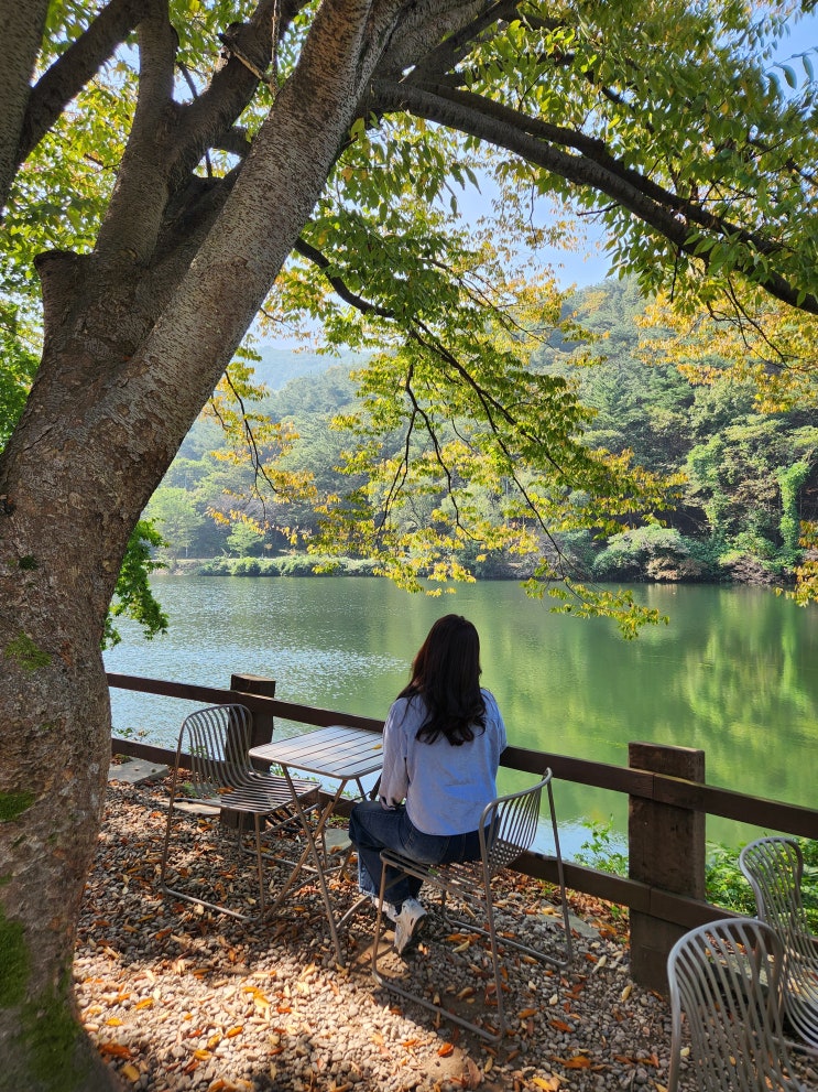  공주 카페 엔학고레 단풍 구경하기 좋은 세종 대전 근교 드라이브 코스