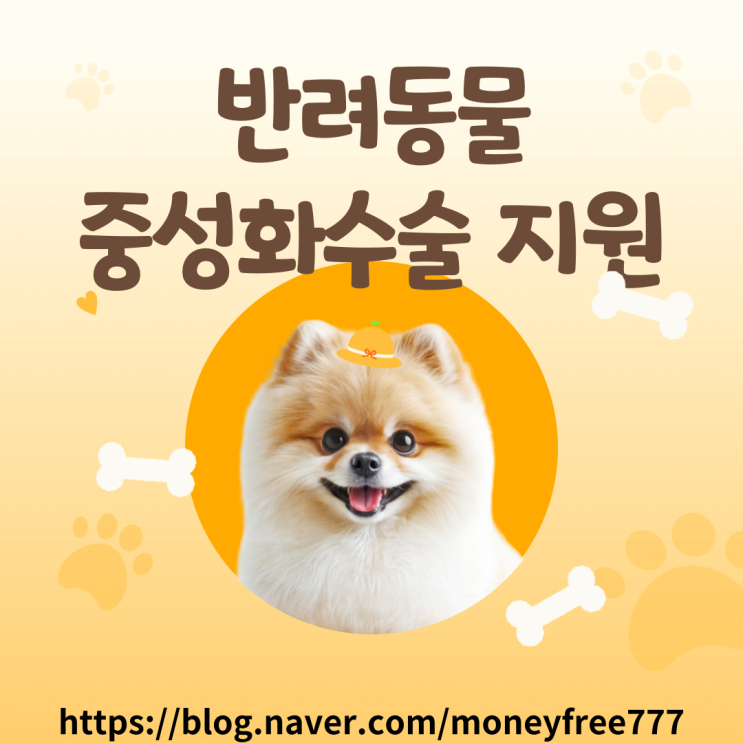  [반려동물 지원] 사랑하는 반려동물을 위한 현명한 선택 '반려동물 중성화 수술 지원'