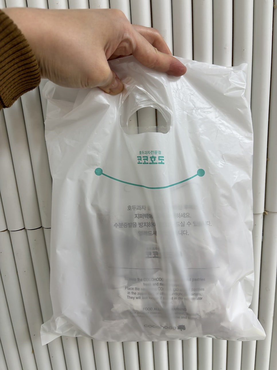 코코호도 황금점 사진 6