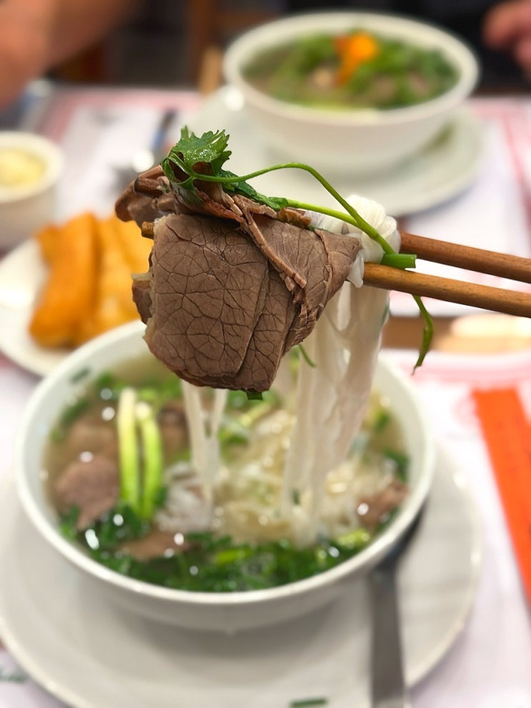  베트남 하노이 맛집 공항 근처 로컬 쌀국수 존맛탱️