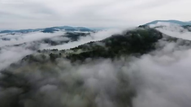  스토리텔링수학지도사 인증 , 스토리텔링수학지도사 자격증 온라인으로 준비한 과정 확인하기