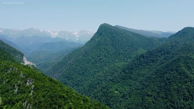  1급아동심리상담사자격증취득방법 , 아동심리상담사 자격증 온라인으로 합격한 비법 , 취업