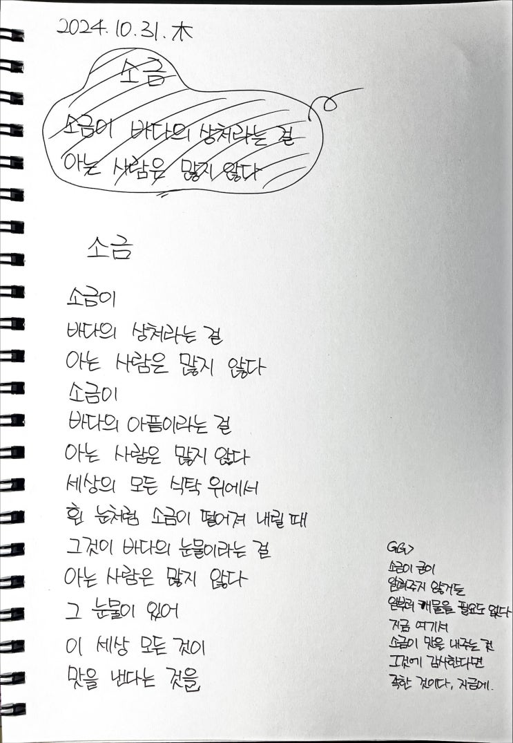  [필사] 소금-류시화