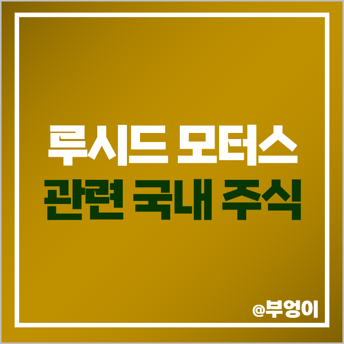 루시드 모터스 관련주 명신산업 주가 나라엠앤디 화신 인팩 주식 루시드 모터스 관련주 명신산업 주가 나라엠앤디 화신 인팩 주식