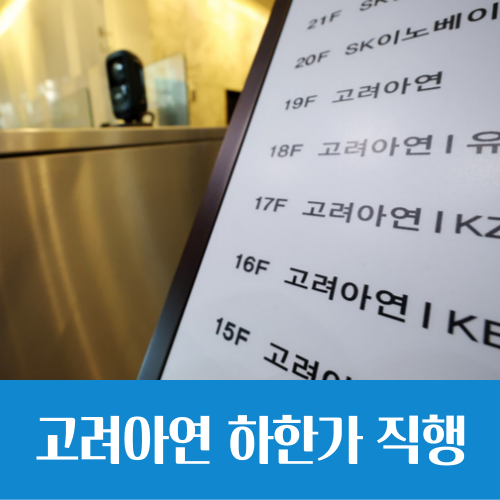  고려아연 기습 유상증자로 하한가 직행, 이것이 국장 난이도다