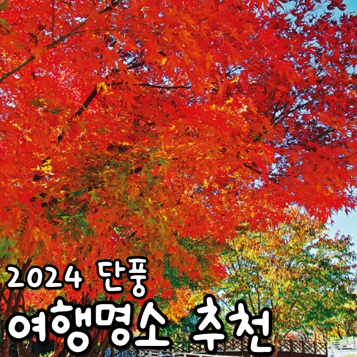  가을 단풍여행 명소 2024년 단풍시즌