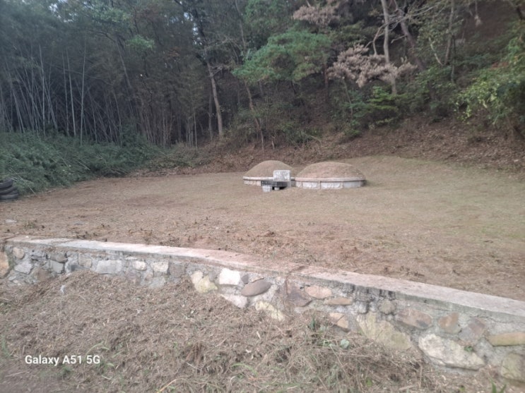  울산 울주군 언양읍 반천리 봉분2기 100평 주변 대나무제거 및 뿌리고사작업("울산벌초대행")