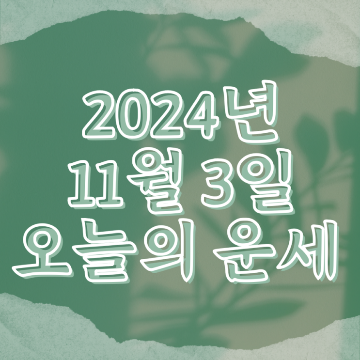 2024년 11월 3일 운세 오늘의운세 띠별운세