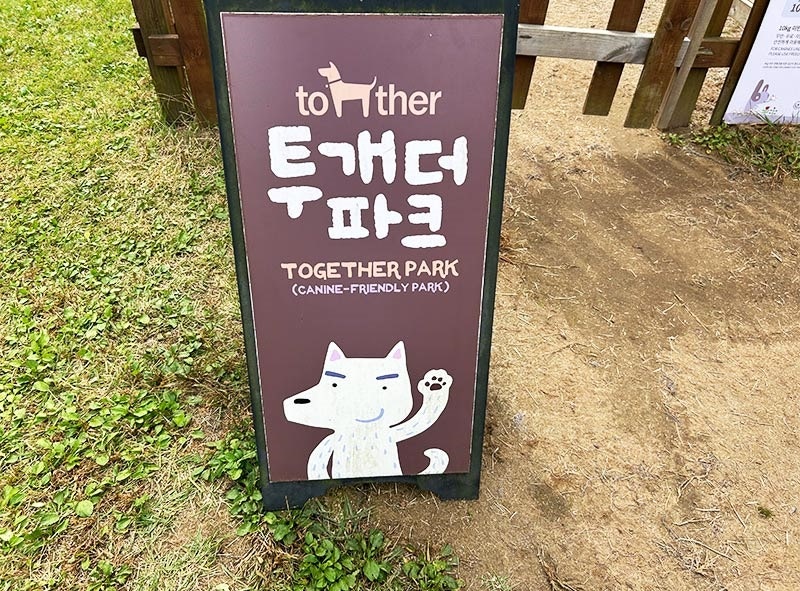 사진 4