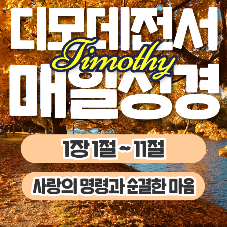 매일성경 11월 1일: 디모데전서 1장 1절~11절 - 사랑의 명령과 순결한 마음 매일성경 11월 1일: 디모데전서 1장 1절~11절 - 사랑의 명령과 순결한 마음