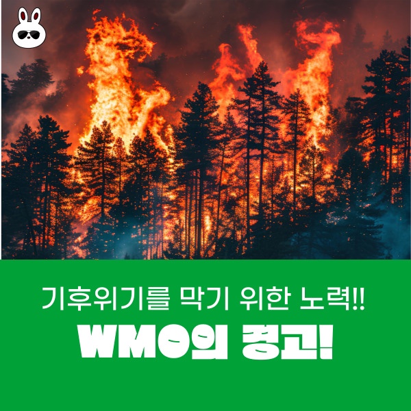 WMO의 경고! 기후위기를 막기 위한 노력!!
