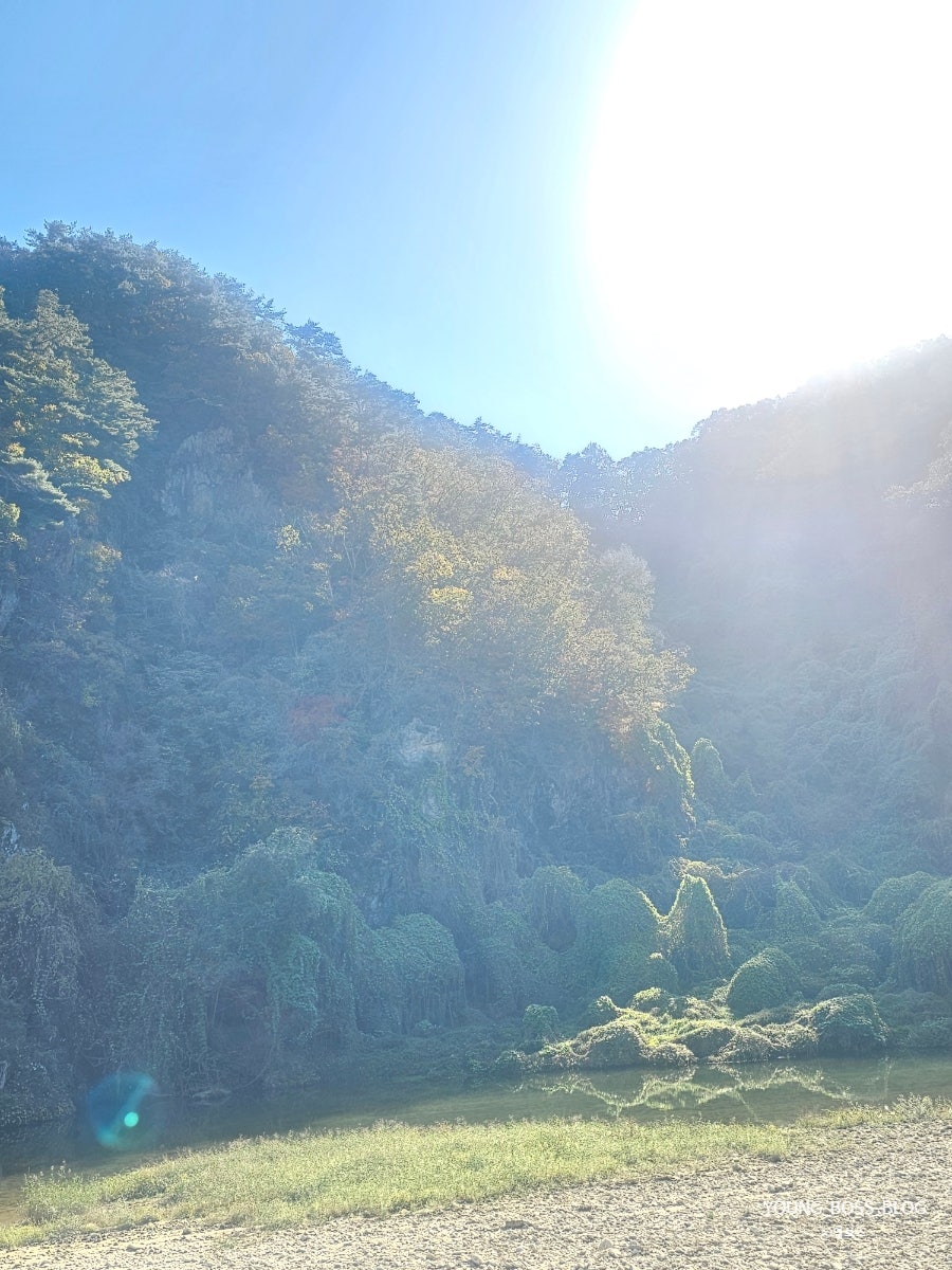 경성꽈배기 봉산점 사진 5