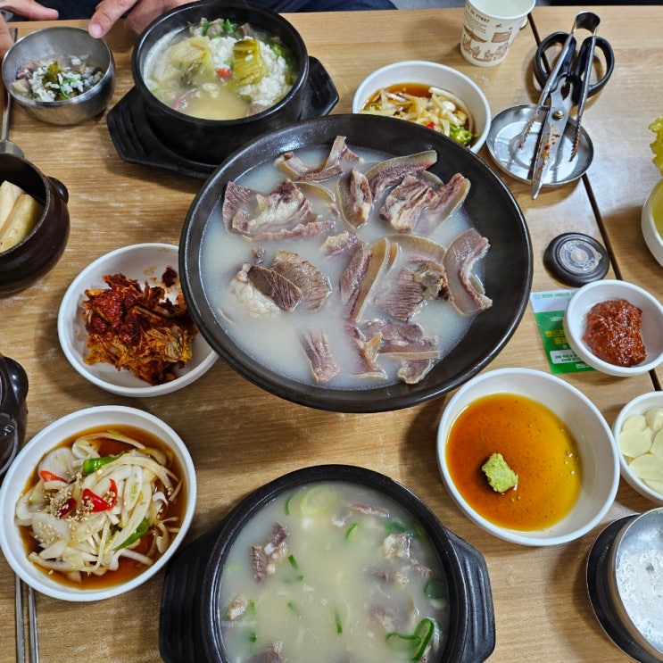  대전 선화동 맛집 선화동소머리해장국 실비김치 성심당 근처 중구 현지인 점심 맛집