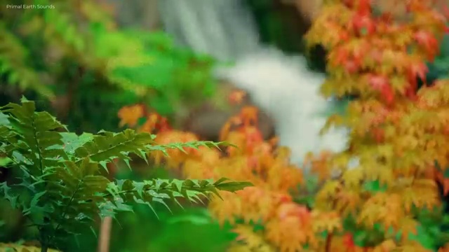  가족상담사자격증 , 심리상담사 자격증 준비한 방법 제가 알려드릴게요