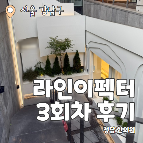  청담한의원 라인이펙터 3회차 팔뚝 지방분해 후기
