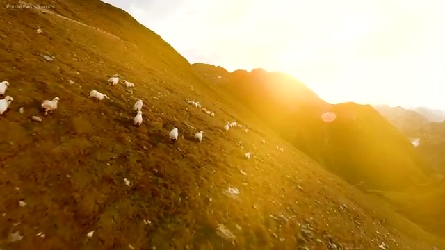  사주 명리학 독학 , 명리심리상담사자격증 취득했던 후기 및 인기있는 이유
