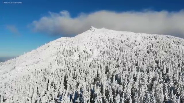  부동산tm , 부동산자산관리전문가 부동산자산관리사자격증 준비 과정 및 향후 전망