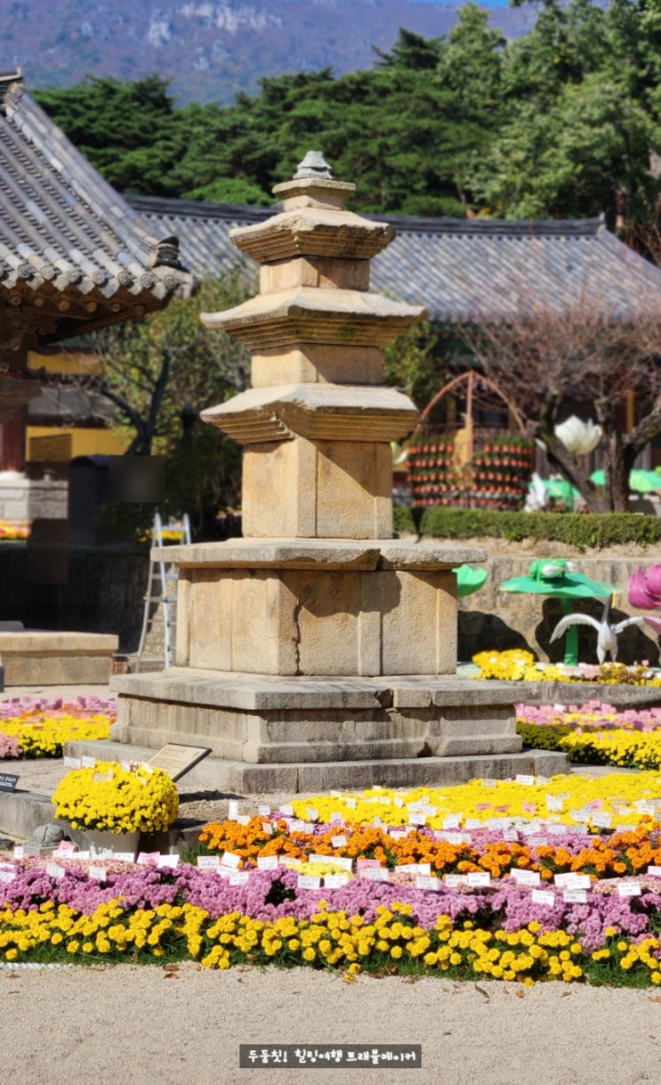 양산 통도사 단풍, 국화축제 영축산 국내 가을여행지 추천