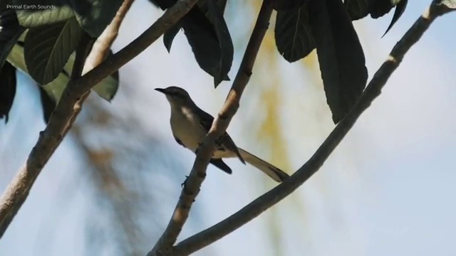  유튜브공부 , 유튜브크리에이터전문가 자격증 합격한 전략 확인해보세요