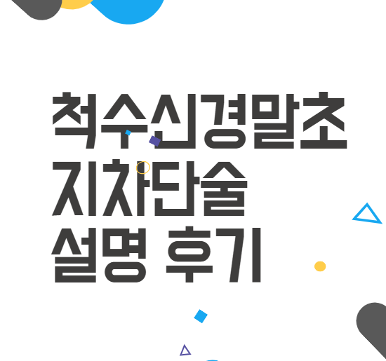 척수신경말초지차단술 설명, 후기, 자주 묻는 질문 척수신경말초지차단술 설명, 후기, 자주 묻는 질문
