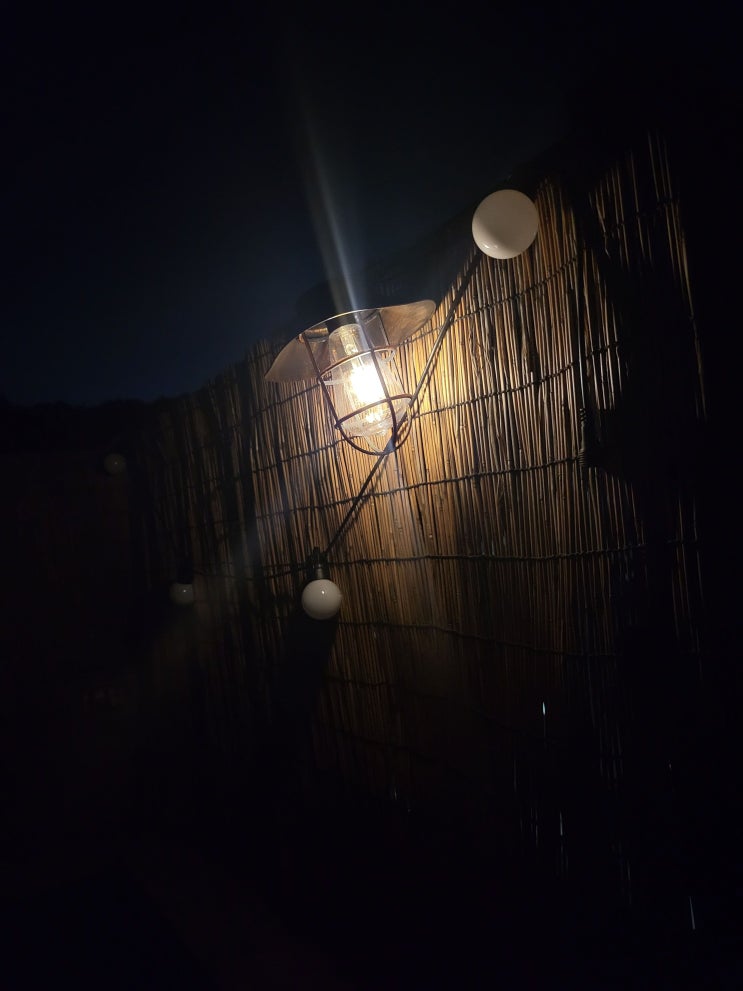  루아즈 LED 태양광 야외 정원등 내돈내산 리뷰