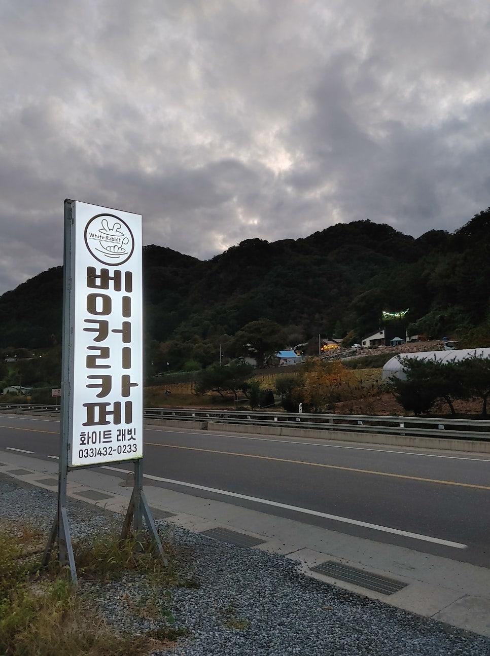 화이트래빗 사진 1