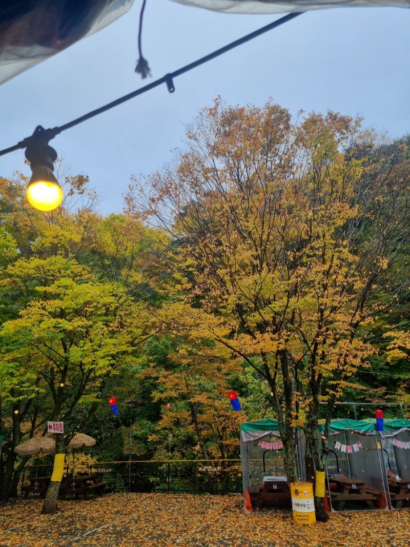 사진 3