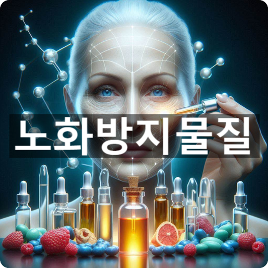  [경제/시사] '노화방지 물질'의 뜻, 그리고 기능과 동향은?