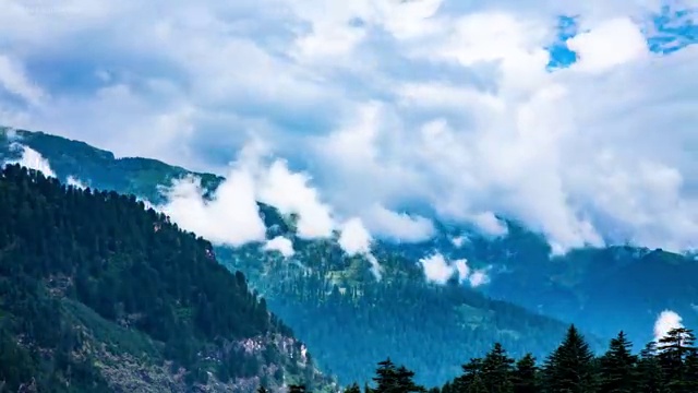  부동산개론 , 부동산권리분석사 취득한 방법 및 활용 방법과 전망