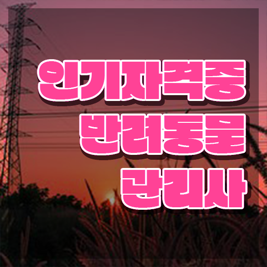  반려동물 생활관리사 , 반려동물관리사 자격증 합격한 비법 확인하기