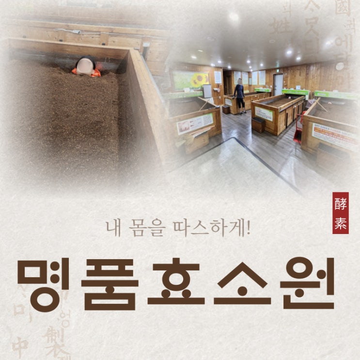  수원효소찜질 명품효소원 면역세포 활성화 시키기 대작전