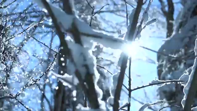  사주 공부 책 , 명리심리상담사자격증 합격 비법 , 학습방법